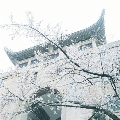 1976年-中国十大元帅之首朱德逝世